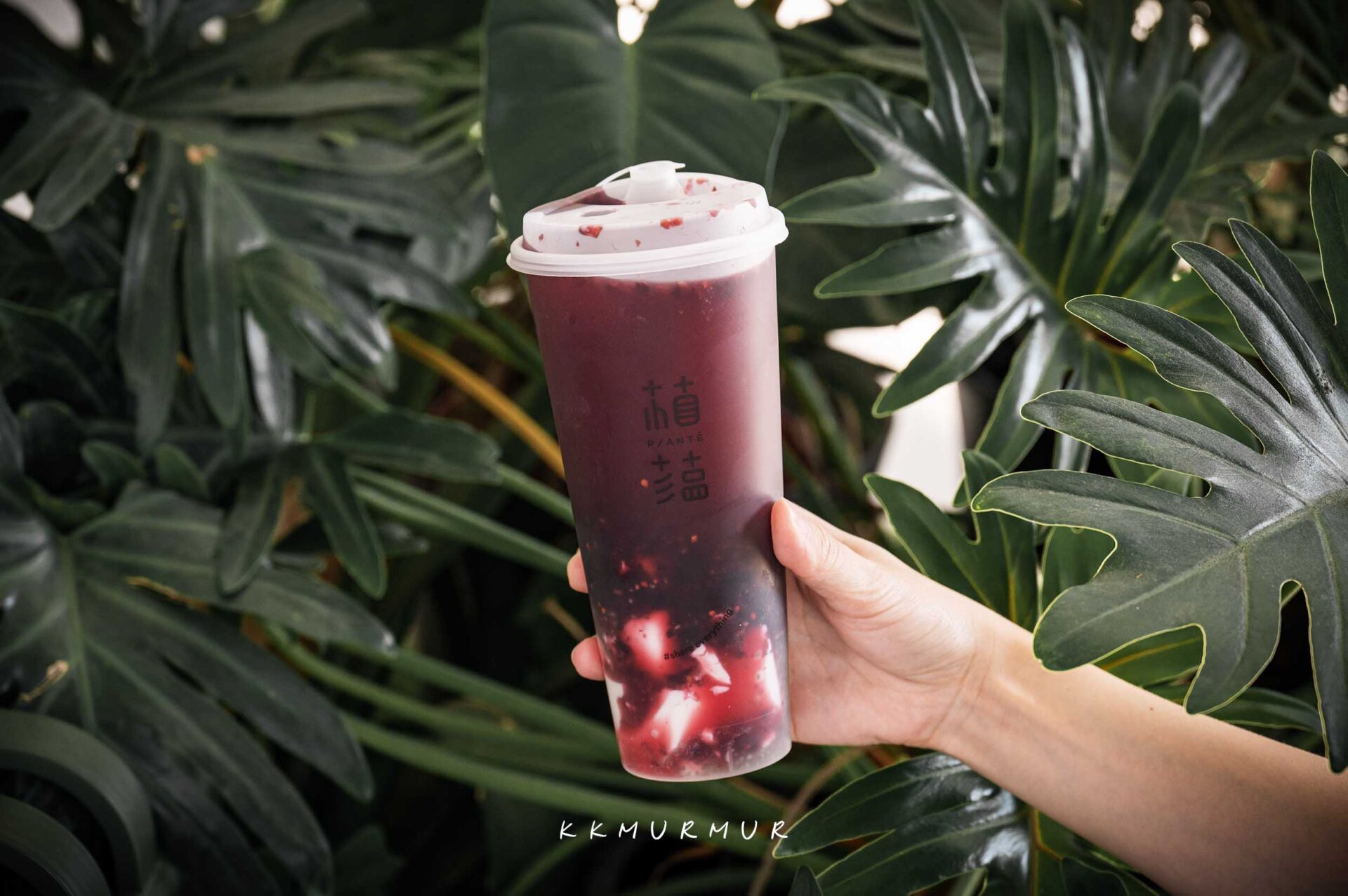 植蘊 Planté 大直小公園店 輕食飲專賣